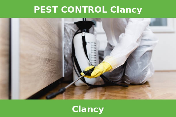 PEST CONTROL Clancy